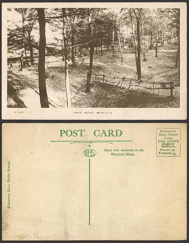 Mirfield hagg woods - mirfield,
