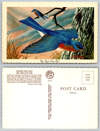 Cartolina arte new york - cartolina,